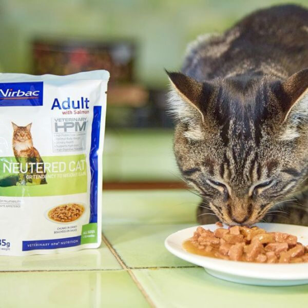 VIRBAC HPMC kassi konserv Adult with salmon neutered cat 85g - Image 2
